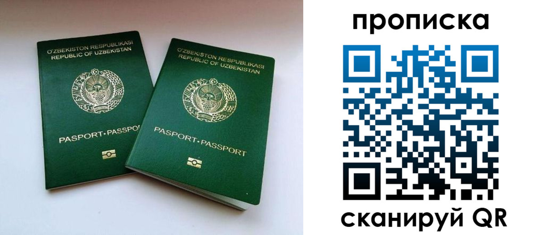 прописка поиск в Дубовке